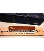 Amazon | SUZUKI スズキ 電気大正琴 こはくソプラノ | 大正琴 | 楽器